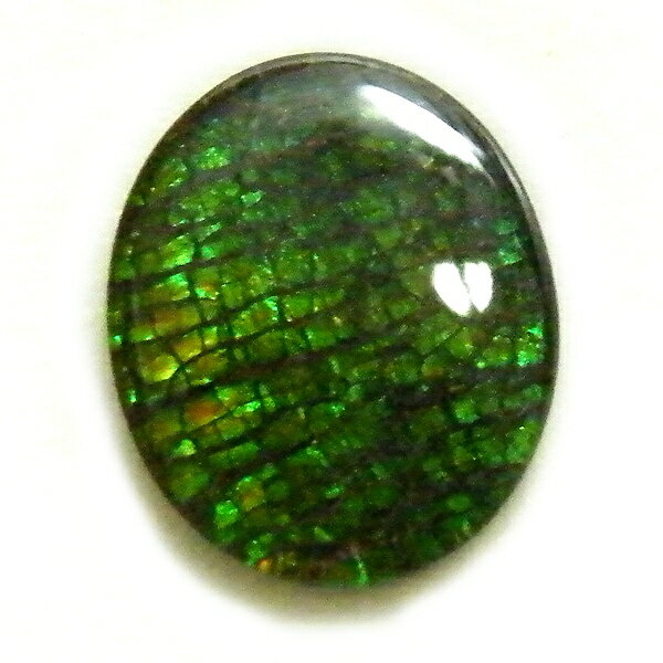 アンモライト(Ammolite) 1点限定 トリプレットルース 約9x11mm 2.44ct 裸石 ルース アンモナイト