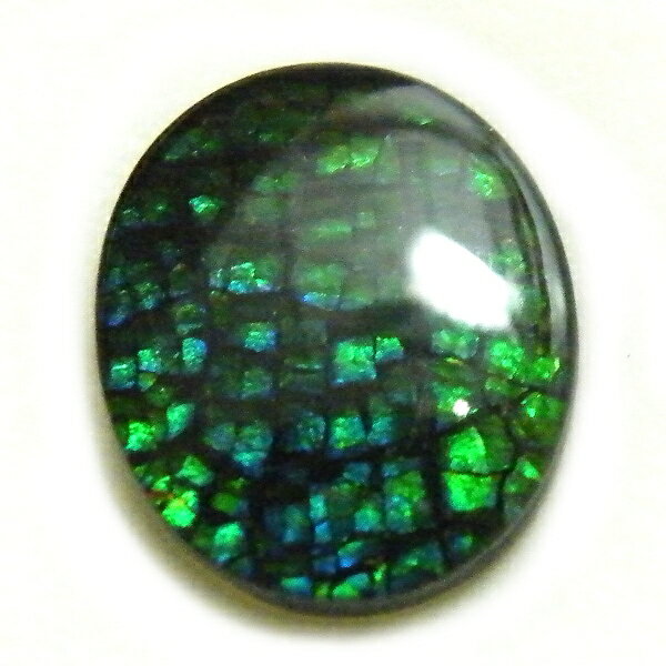 アンモライト(Ammolite) 1点限定 トリプレットルース 約10x12mm 2.99ct 裸石 ルース アンモナイト