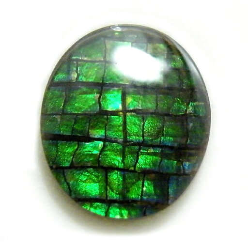 アンモライト(Ammolite) 1点限定 トリプレットルース 約10x12mm 3.03ct 裸石 ルース アンモナイト アンモライト(Ammolite) 1点限定 トリプレットルース 約10x12mm 3.03ct 裸石 ルース アンモナイト