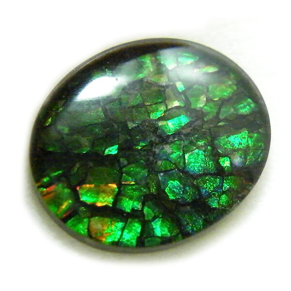 テソロ 楽天市場店のアンモライト(Ammolite) 1点限定 トリプレットルース 約10x12mm 3.09ct 裸石 ルース アンモナイト｜アングル3