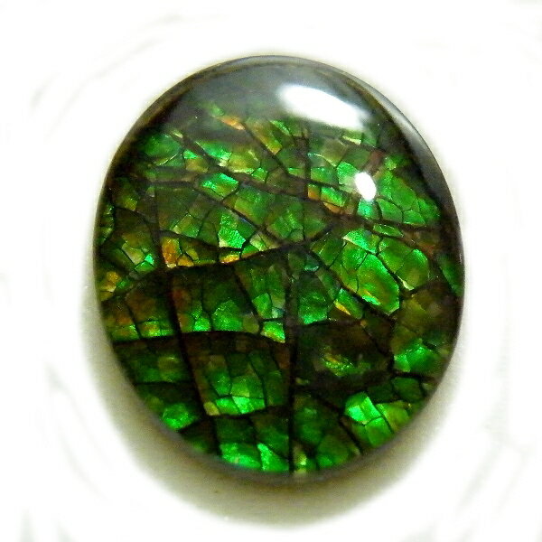 アンモライト(Ammolite) 1点限定 トリプレットルース 約10x12mm 3.57ct 裸石 ルース アンモナイト