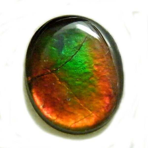 アンモライト(Ammolite) 1点限定 トリプレットルース 約8x10mm 2.04ct 裸石 ルース アンモナイト