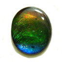 ACg(Ammolite) 1_ gvbg[X 9x11mm 2.560ct  [X AiCg