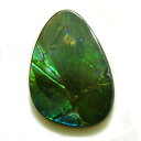 アンモライト(Ammolite) 1点限定 トリプレットルース 約14x20mm 8.53ct 裸石 ルース アンモナイト