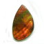 饤(Ammolite) 1 ȥץåȥ롼 14x23mm 9.04ct  롼 ʥ