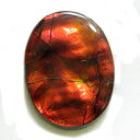 アンモライト(Ammolite) 1点限定 トリプレットルース 約12.5x17mm 6.75ct 裸石 ルース アンモナイト