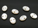 シェル貝 【天然石パーツ】 穴あき オーバルパーツ ボタン いろいろなパーツ 約11xmm 《1個》
