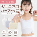 ジュニア スポーツブラ 女の子 ファーストブラ 小学生3年生~中学1年生 8~16歳対応 ストラップ 調整可能 立体カップ 通気性 通学 体育 部活 2枚セット シンプルデザイン 軽量 軽やか インナー 肌にやさしい 動きやすい かわいい ランジェリー スクールインナー 成長期対応
