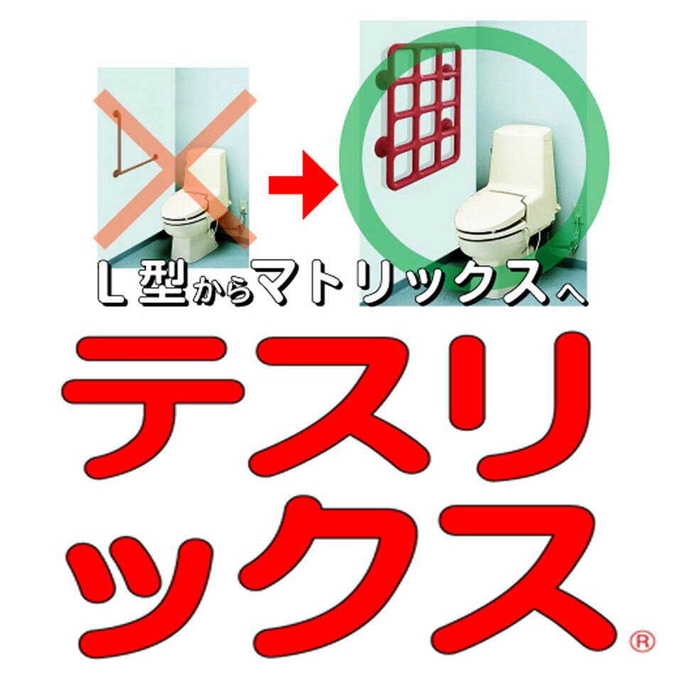 テスリックス楽天市場店