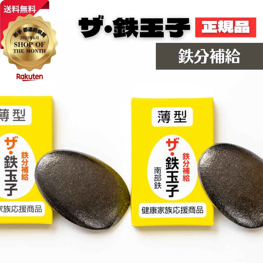 【ポイント8倍★】ザ・鉄玉子 2個セット 薄型 産地直送 正規品 南部鉄 鉄分補給 本場 岩手県奥州市水沢産