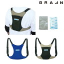BRAIN ブレイン アイスバック2 BR-530 | アイスベスト 保冷剤 涼しい 夏 夏用 熱中症対策 暑さ対策