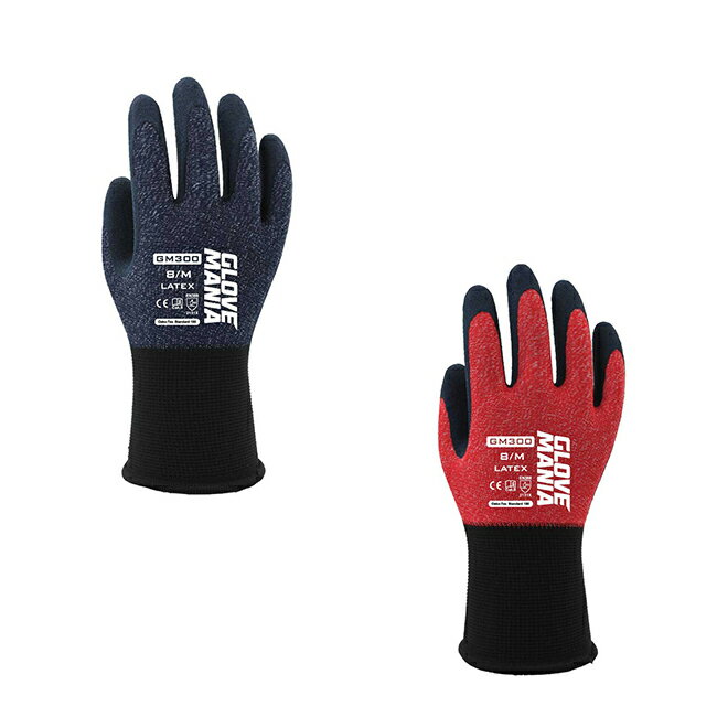 10Хåȡۥ֥ޥ˥ ƥå եå GM300