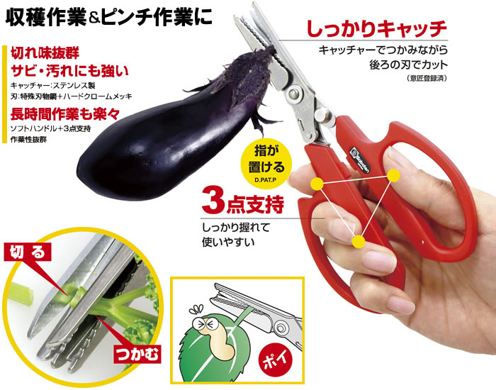 サボテン 1371 楽切剪定鋏 170mm 女性用 ピンク お試し価格