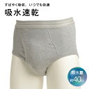 テイジン ブリーフ 男性用(吸水量40cc) 軽失禁パンツ ウエルドライ（R) ウェルドライ 洗って繰り返し使える 肌触りがよい 目立たない 吸水速乾 尿漏れ 横漏れガード 自然な履き心地 失禁パンツ 尿もれパンツ20年以上のロングセラー レビュー特典有