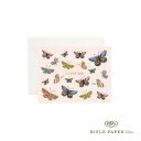 【12時までのご注文で当日出荷】ライフルペーパー カード バタフライサンキュー Rifle Paper Co. イラスト メッセージカード