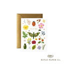 【12時までのご注文で当日出荷】ライフルペーパー カード キュリオサンクス Rifle Paper Co. イラスト メッセージカード