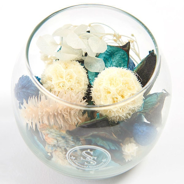 ��ʿ��7������˽в١�̾���� �ݥץ�ܥȥ� �������ޥ��