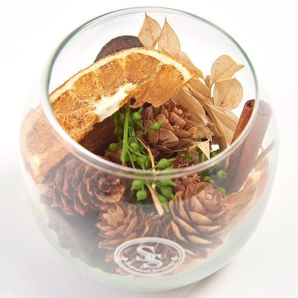 ��ʿ��7������˽в١�̾���� �ݥץ�ܥȥ� ���꡼��ե��쥹��