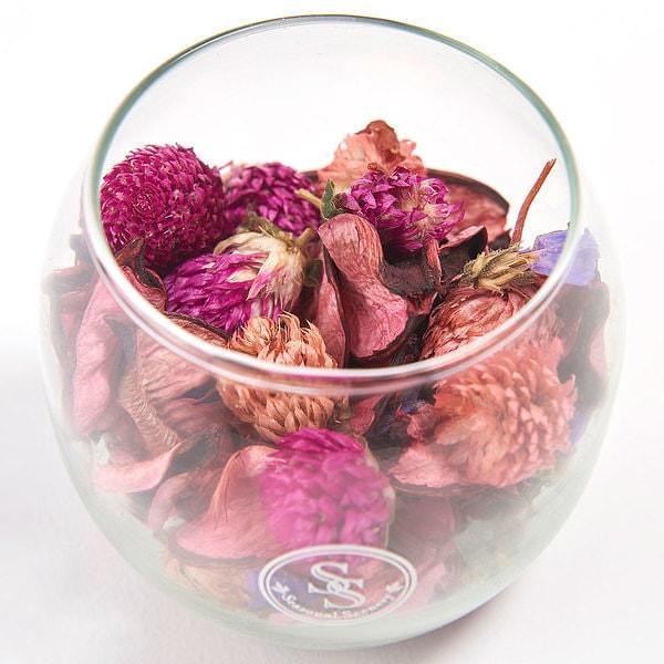 ��ʿ��7������˽в١�̾���� �ݥץ�ܥȥ� �ե������ǥ�