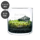 【平日7日以内に出荷】名入れ 苔テラリウムキット L
