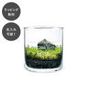 【平日7日以内に出荷】名入れ 苔テラリウムキット S