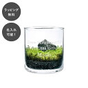 【5%OFFセール 5/9 17:59まで】【7営業日以内に出荷】名入れ 苔テラリウムキット S