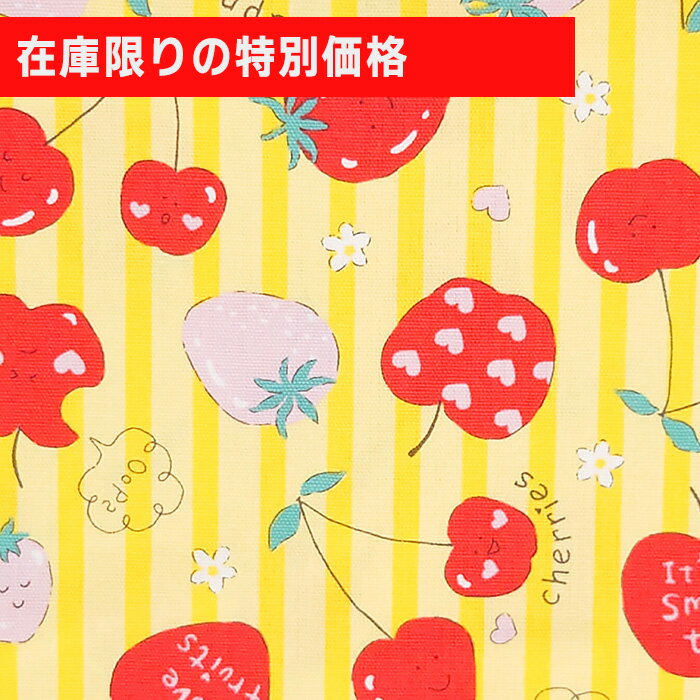 Ϥȼݺ KIJICO㤨֡ ȥå   ե롼  ȥ饤 å å 100 Ѳǽ 10cmñ 110cm ̵ʤ꼡佪λ 3᡼ȥޤǥ᡼ءפβǤʤ74ߤˤʤޤ