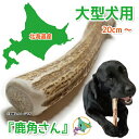 【大型犬用 蝦夷鹿の角】『鹿角さん』 1本 サイズ(長さ約20cm~:太さ約2cm~) 天然 無添加 犬のおもちゃ 北海道産 鹿の角 犬 デンタル 口臭 噛み癖...