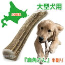 【大型犬用 蝦夷鹿の角】『鹿角さん』半割り 1本 サイズ(長さ19~21cm:太さ2.5~4cm) 天然 無添加 犬のおもちゃ 北海道産 鹿の角 犬 デンタル ...