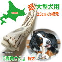 【超大型犬用 蝦夷鹿の角】『鹿角さん』極太の根元 1本 サイズ(長さ25cm~:太さ3cm~) 天然 無添加 犬のおもちゃ 北海道産 鹿の角 犬 デンタル 口臭...