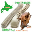 KONG パピーコング　XS ピンク　ブルー　噛むおもちゃ 犬のおもちゃ5000円（税抜）以上送料無料