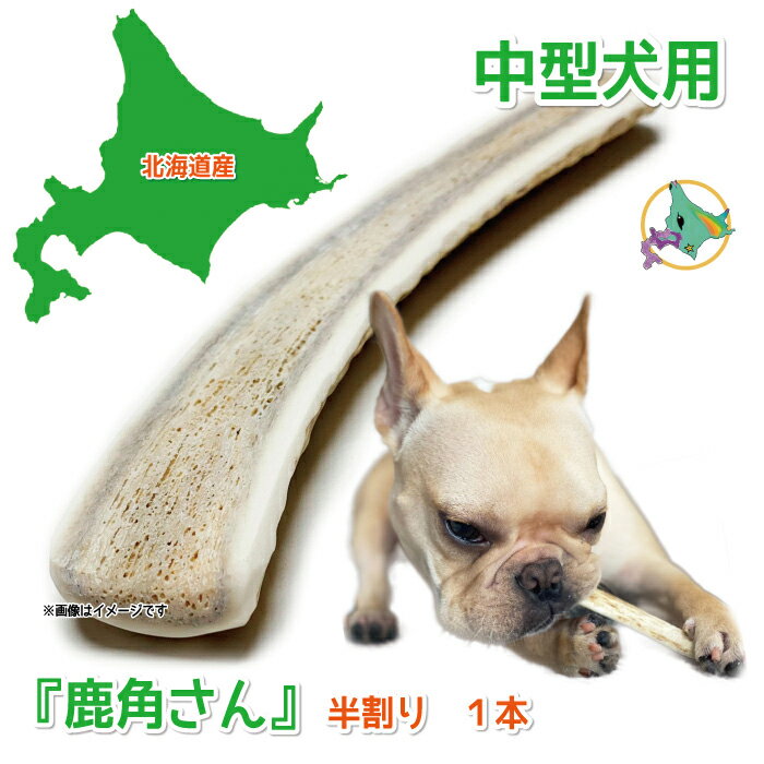 【中型犬用　蝦夷鹿の角】犬のおもちゃ『鹿角さん』 髄出し 半割り 1本 サイズ（長さ14〜16cm：太さ1.5〜4cm）天然 無添加 北海道産 鹿の角 犬 デンタル 口臭 噛み癖 手づくり屋さん