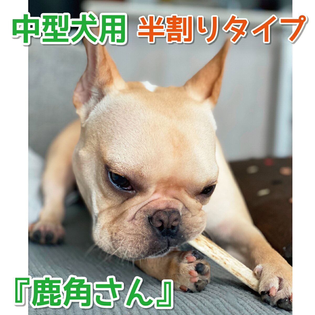 【中型犬用　蝦夷鹿の角】犬のおもちゃ『鹿角さん』 髄出し 半割り 2本セット サイズ（長さ14〜16cm：太さ1.5〜4cm）天然 無添加 北海道産 鹿の角 犬 デンタル 口臭 噛み癖 手づくり屋さん 3