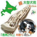超大型犬用 蝦夷鹿の角 『鹿角さん』 半割り 1本 天然 無添加 北海道産 鹿の角 犬のおもちゃ 犬 かむおもちゃ エゾ鹿 エゾシカ ツノ デンタル 鹿角
