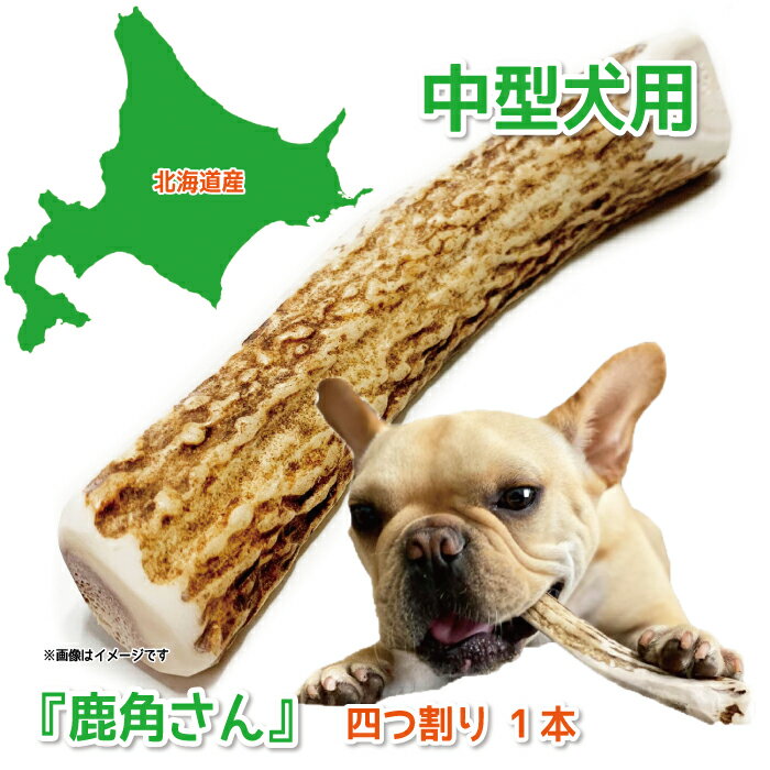 【中型犬用　蝦夷鹿の角】犬のおも