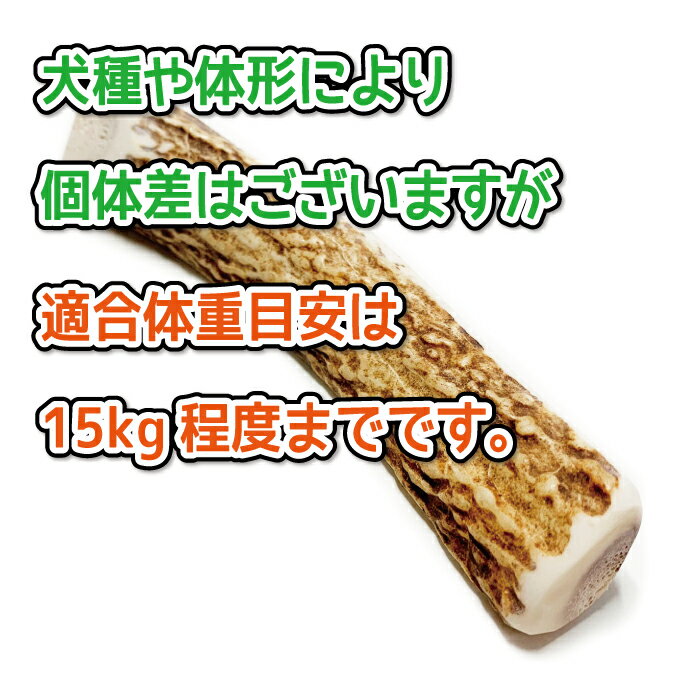適合体重説明