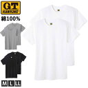 ホーキンス インナー 丸首半袖 Tシャツ メンズ クルーネック 年間 無地 HK10132 半袖 丸首 綿100% G.T.HAWKINS GUNZE グンゼ 2枚組 M L LL 1