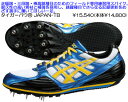 asics2013NEWJAPAN TB