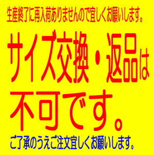 mizuno2010SCOPE LASER��RU�������ץ졼����RU