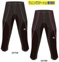 mizuno2012限定品バイオギアタイツランニングナビロングウィメンズセミロング