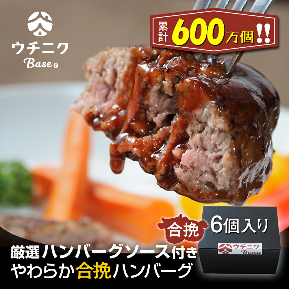 やわらか合挽ハンバーグ 6個入り ハンバーグソース付き　ウチニクBase 合挽肉 合いびき肉 送料無料 お肉 惣菜 御歳暮 御中元 お歳暮 お中元 内祝い プレゼント 贈答用 母の日 父の日 敬老の日 通販 内祝 お取り寄せ 高級 グルメ 食品のサムネイル