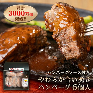 お歳暮 ギフト プレゼント【やわらか合挽ハンバーグ 6個入り】ハンバーグソース付き 無料ラッピング 送料無料ウチニクBase 合挽肉 合いびき肉 お肉 惣菜 御中元 年末年始 お中元 内祝い お祝い 贈答用 母の日 父の日 敬老の日 通販 内祝 お取り寄せ 高級 グルメ