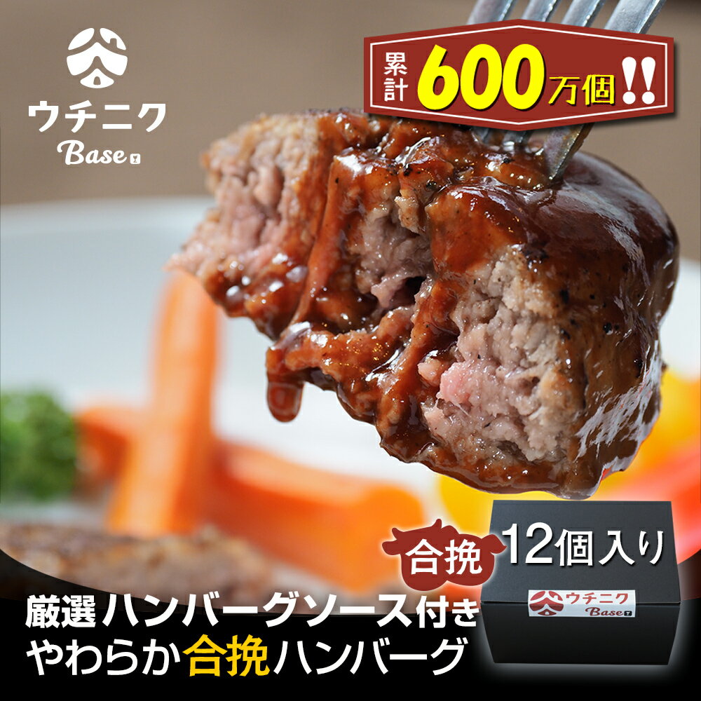 やわらか合挽ハンバーグ 12個入り ハンバーグソース付き　ウチニクBase 合挽肉 合いびき肉 送料無料 お肉 惣菜 御歳暮 御中元 お歳暮 お中元 内祝い プレゼント 贈答用 母の日 父の日 敬老の日 通販 内祝 お取り寄せ 高級 グルメ 1