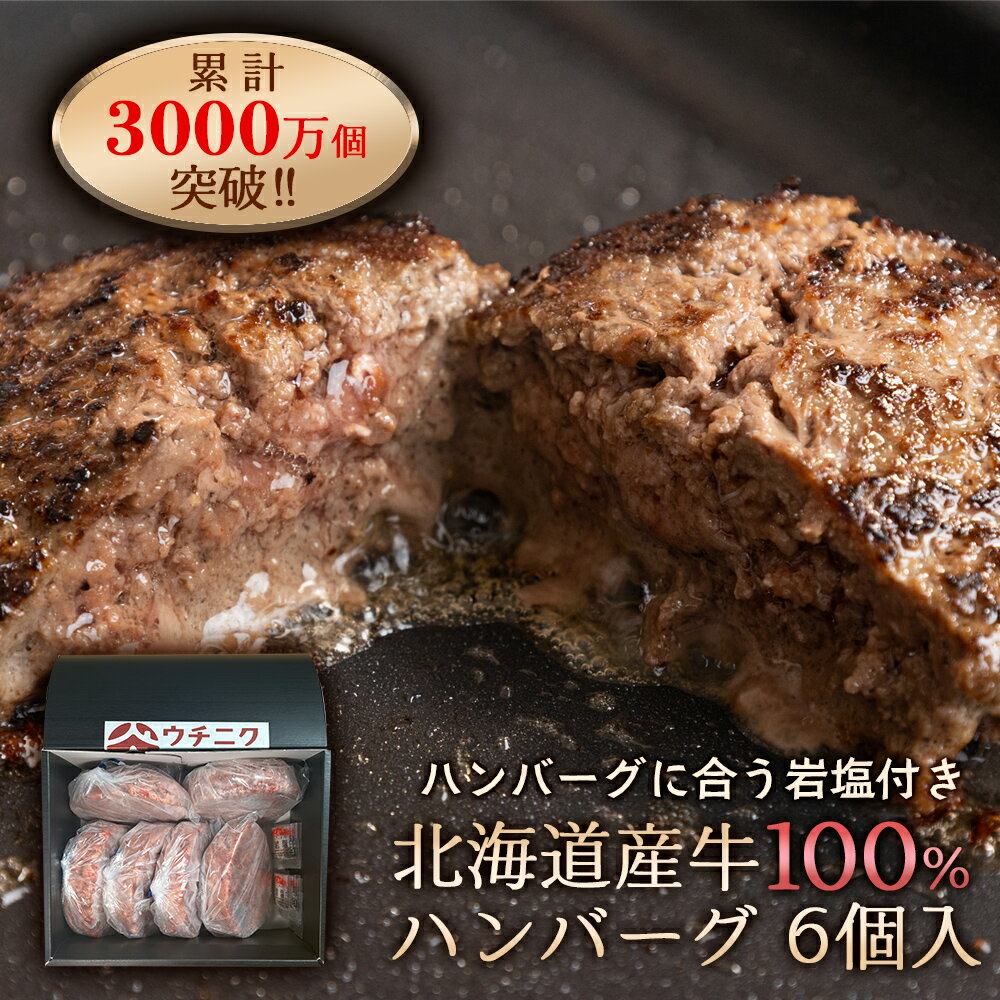 お歳暮 ギフト プレゼント【北海道産 牛100％ハンバーグ 6個入り】900g 牛肉 厳選ウチモモ 国産牛 100% 手作り ハンバーグ セット お肉 惣菜 御歳暮 御中元 年末年始 お中元 内祝い 贈答用 母の日 父の日 敬老の日 通販 内祝 お祝い お取り寄せ 高級 グルメ 食品