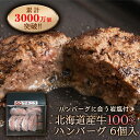 【お買い物マラソンポイント10倍】【北海道産】牛100％ハンバーグ 6個入り　ウチニクBase牛肉 厳選ウチモモ...