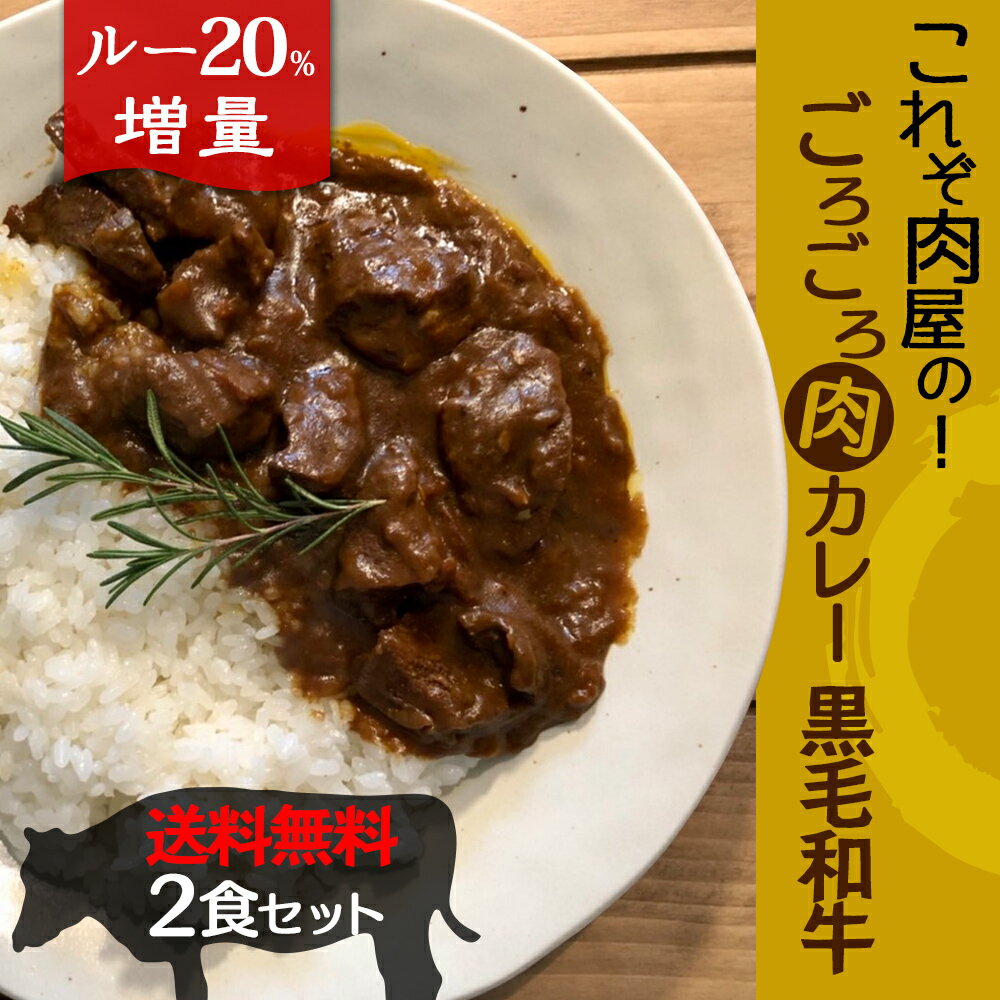 【肉量90g入りの迫力！】 これぞ肉屋のごろごろ肉カレー 牛タン＆黒毛和牛すじ 送料無料 ＜ルー120％増お値段据置き！＞1000円 ポッキリ すじ タン レトルト カレー 和牛 本格カレー 常温 ビーフカレーのサムネイル