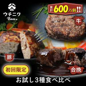 『真・ウチニクハンバーグお試し3種食べ比べセット』とは？