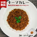 製造が追いつきません 1000円 ポッキリ！【これぞ肉屋の！ 脳天突き抜け スパイシー キーマカレー ...