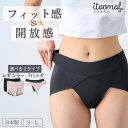 【公式】 新感覚 ふんどしショーツ 日本製 帝人フロンティア 鼠径部 締め付けない ショーツ 抗菌 防臭 レギュラー Tバック タンガ シンプル パンツ レディ...
