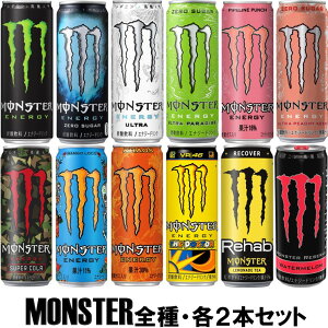 アサヒ飲料　モンスターエナジー355ml　全12種アソートSET（2本×12種　計24本）　送料無料(沖縄離島不可)　MONSTERENEGY355ml